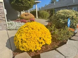 Kings Palace Adult Family Home - Gallery Image 1