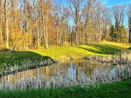 Ingersoll Place - Gallery Image 5