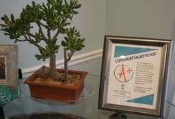 The Cottages of Fox Lake Assisted Living & Memory Care - Gallery Image 6