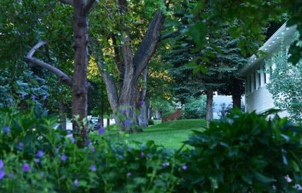 The Academy At University Hill - Gallery Image 3