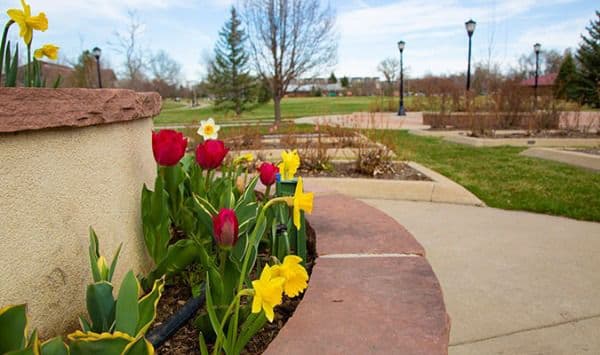 Cinnamon Park - Independent Living
