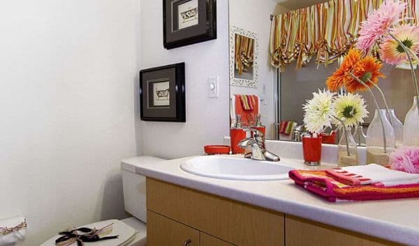 Olympus Ranch - Gallery Image 5