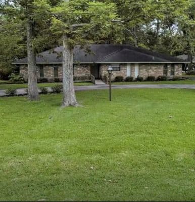 Dorothy'S House - Gallery Image 2