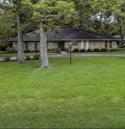 Dorothy'S House - Gallery Image 2