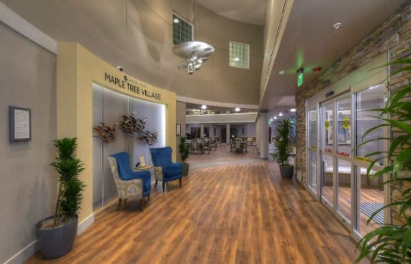 Acc Maple Tree Village