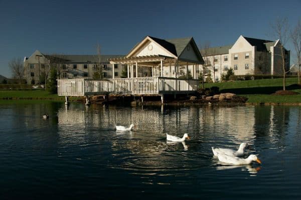 Senior Star at Dublin Retirement Village