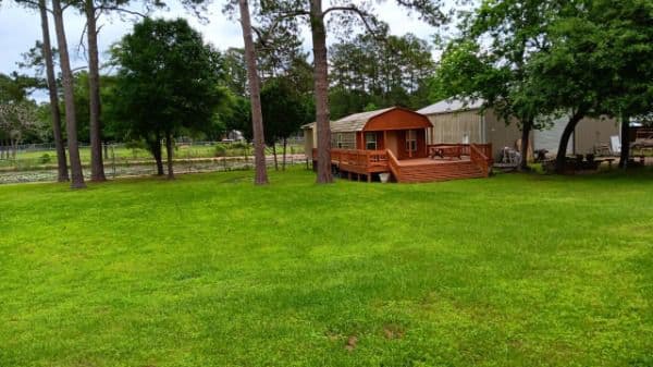 The Olive Grove Assisted Living - Gallery Image 4