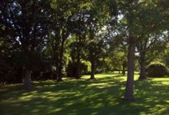 St. Monica's Senior Living - Gallery Image 5
