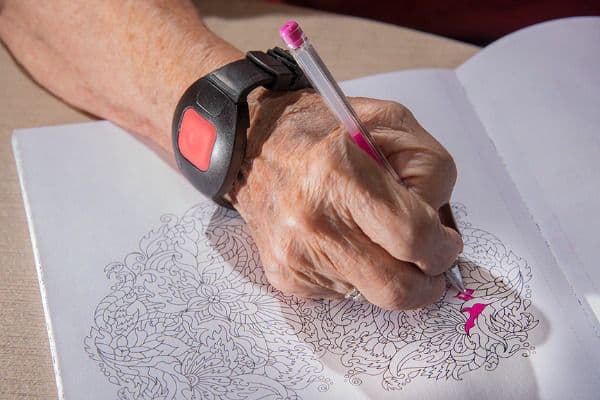 The Echelon Assisted Living - Gallery Image 4