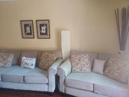 Citrus Garden Care Home - Gallery Image 4