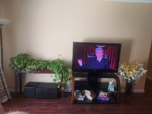 Citrus Garden Care Home - Gallery Image 5