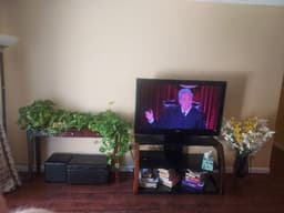 Citrus Garden Care Home - Gallery Image 5