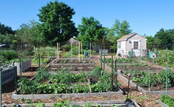 Heath Village - Gallery Image 3