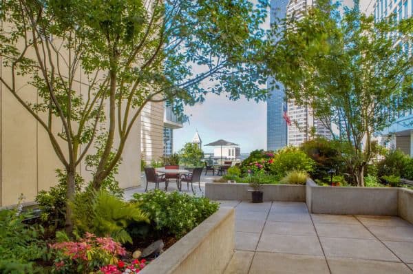 Skyline At First Hill - Gallery Image 6
