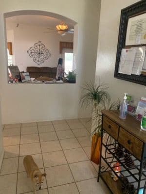 Medisys Home Care Ii - Gallery Image 4