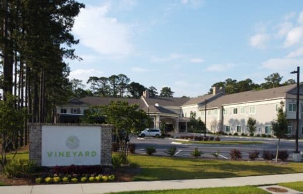 Vineyard Bluffton