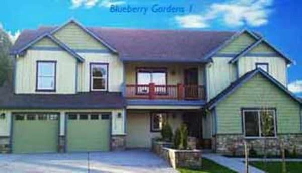Blueberry Gardens 1