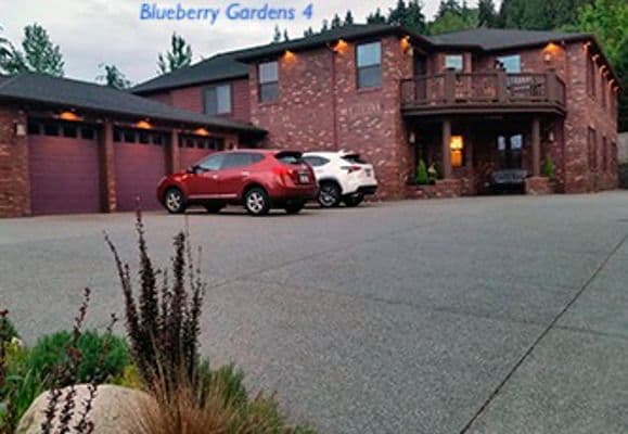 Blueberry Gardens 4