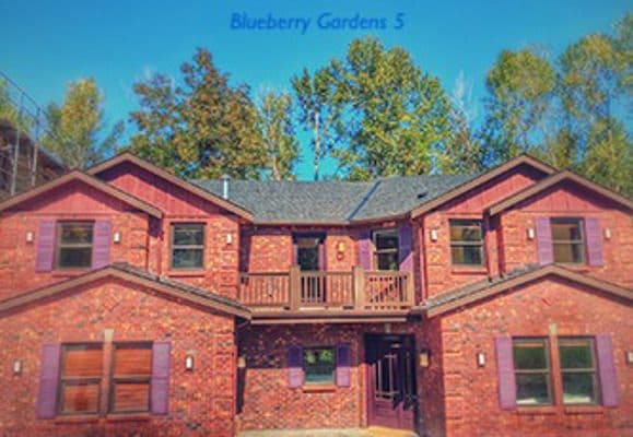 Blueberry Gardens 5