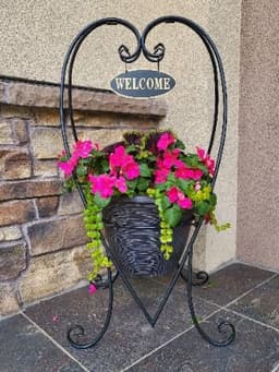 The Promised Land Of Kenmore - Gallery Image 3