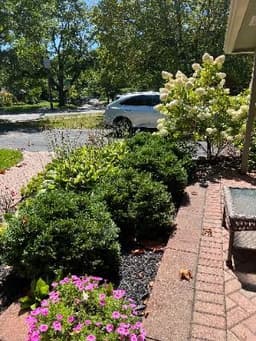 Arbor Care on Independence - Gallery Image 2