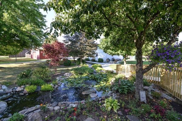 Betzy'S Place - Gallery Image 4