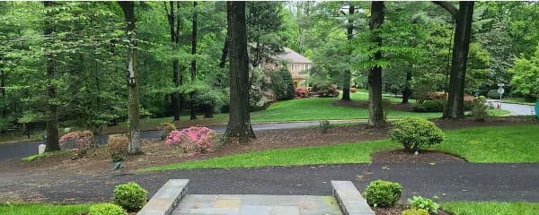 Westmont House - Gallery Image 4