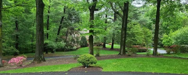 Westmont House