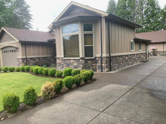 Golden Age Foster Home, Anca Vesa - Gallery Image 1