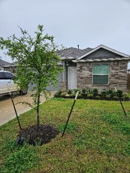 Pure Hearts Home - Gallery Image 1