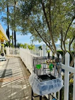 Eagles Nest Retirement Ranch - Gallery Image 3