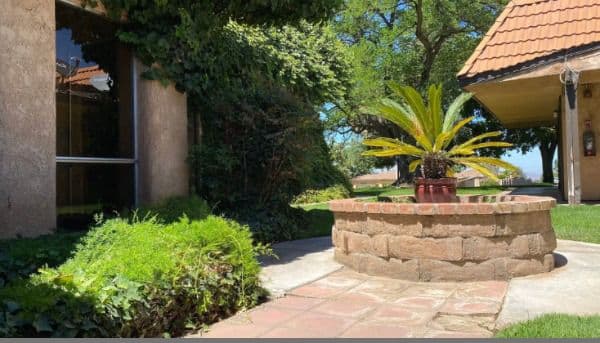 Braswell's Mediterranean Gardens - Gallery Image 2