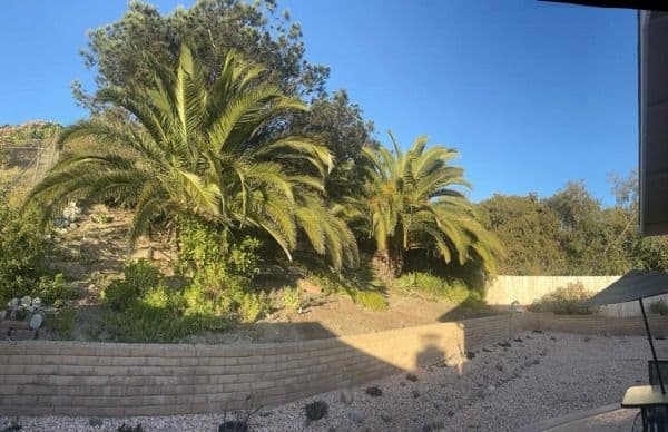 Palm View Home, Inc. - Gallery Image 2