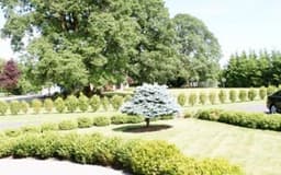 Heaven Home Care - Gallery Image 2