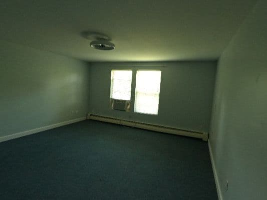 Willow's - Gallery Image 3