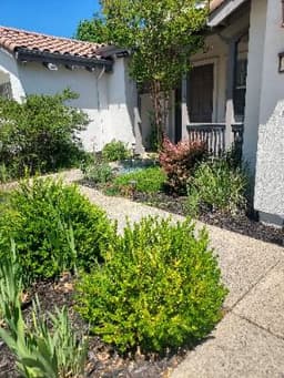 Folsom Comfort Care - Gallery Image 2