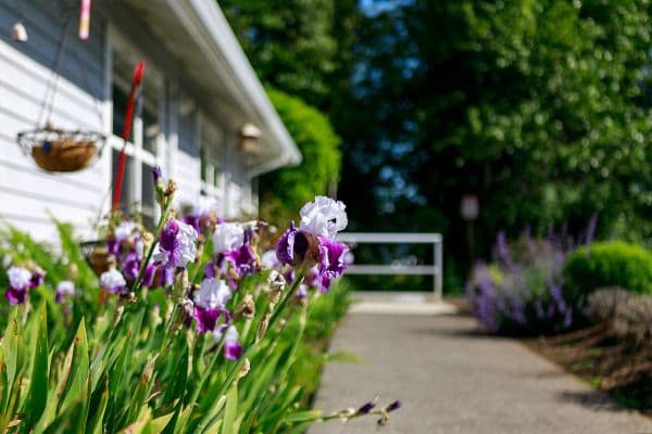 Spring Meadows - Gallery Image 6