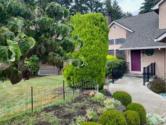Forest Park Adult Care Home, Emy & Mark Roady, Rn
