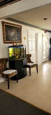 Grove Street Care Home - Gallery Image 6