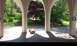 Accessible Properties - Gallery Image 4