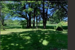 Betty Jo'S Residential - Gallery Image 5