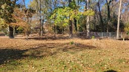 Three Angels Assisted Living (Charles Co) - Gallery Image 2