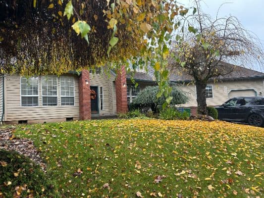 Rosa Residence, Larisa Gligan, Rn